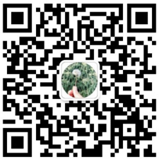 廣州波鐠展覽設計有限公司